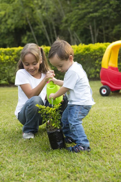 Jardinage des enfants heureux — Photo