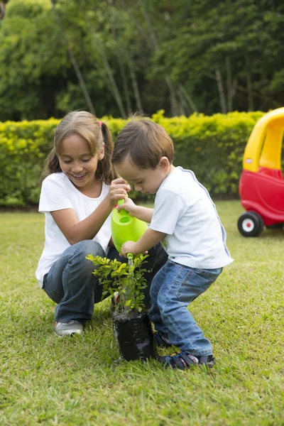 Glada barn trädgårdsskötsel — Stockfoto