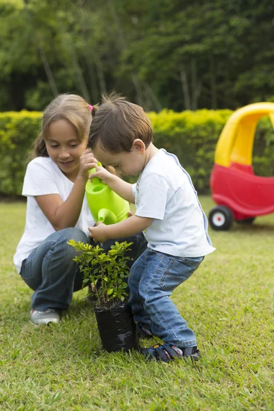 Szczęśliwe dzieci ogrodnictwo — Stockfoto
