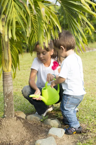 Niños felices Jardinería —  Fotos de Stock