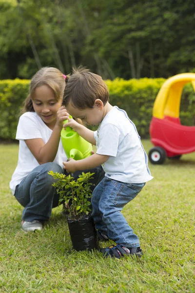 Niños felices Jardinería —  Fotos de Stock