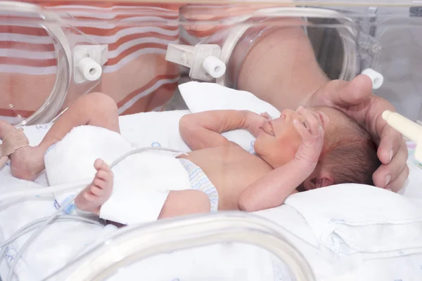 Neugeborenes Baby im Brutkasten Stockbild