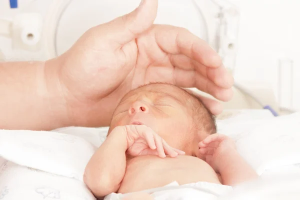 Neugeborenes Baby im Brutkasten lizenzfreie Stockbilder