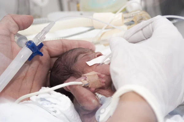 Newborn and hand — Stock Photo, Image