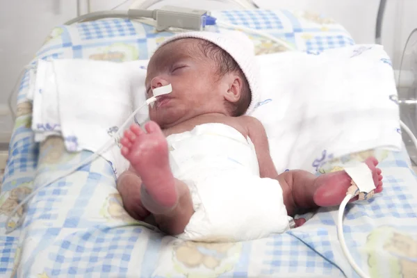 Newborn baby inside incubator — Stock Photo, Image