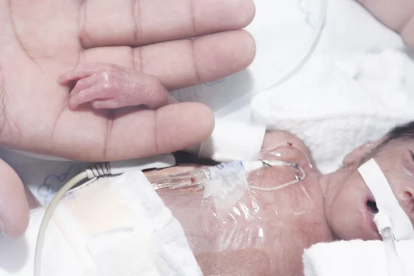 Newborn and hand — Stock Photo, Image