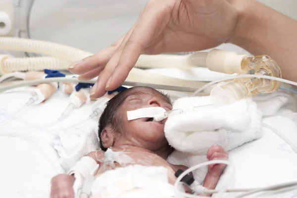 Newborn and hand — Stock Photo, Image