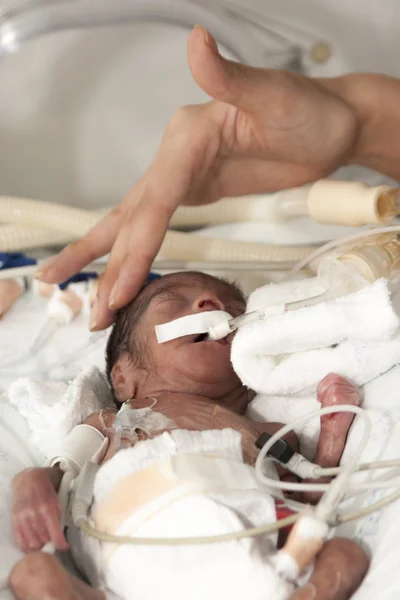 新生児と手 — ストック写真