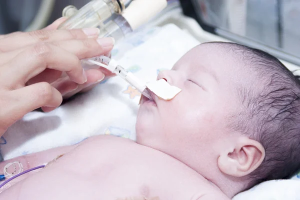 Newborn and hand — Stock Photo, Image