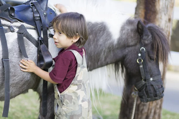 Liten pojke och hennes häst — Stockfoto