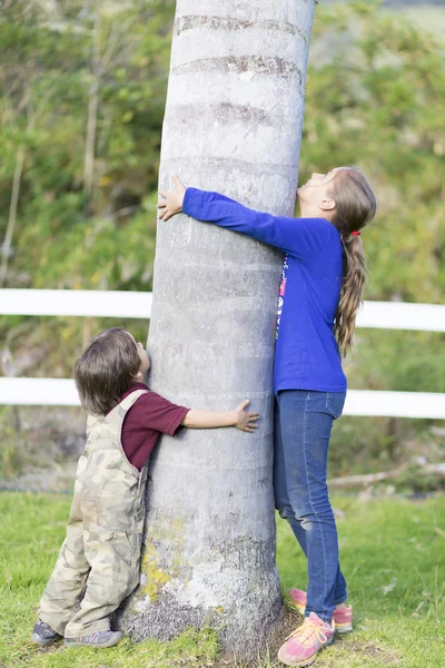 Glada barn krama ett träd — Stockfoto