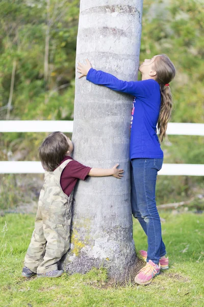 Boldog gyermekek, átölelve egy fa — Stock Fotó