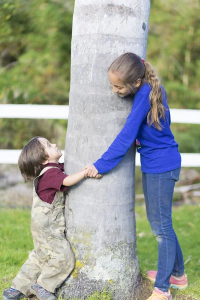Щасливі діти, обіймати дерево — стокове фото