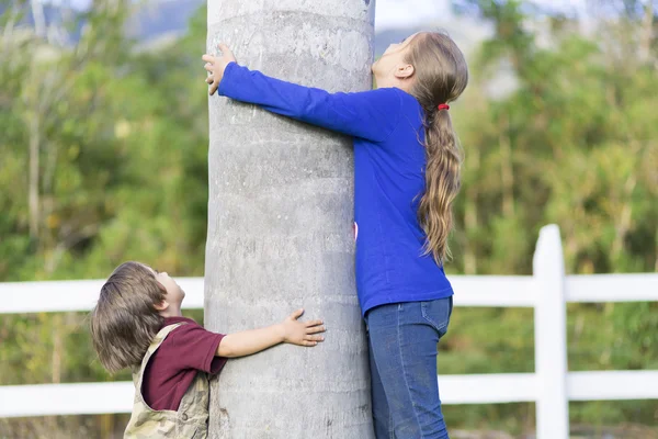 Glada barn krama ett träd — Stockfoto