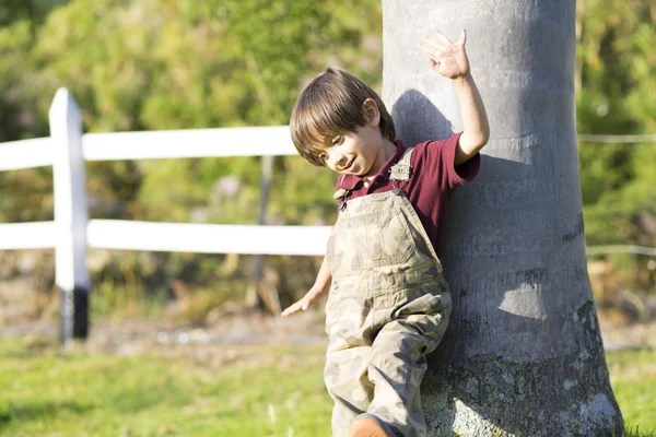 Feliz niño jugando a un árbol — Foto de Stock