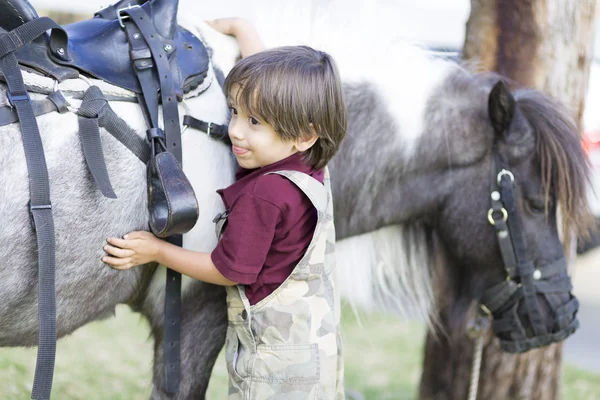 Маленький мальчик и ее лошадь — стоковое фото