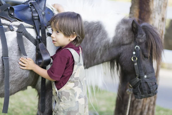 Menino e seu cavalo — Fotografia de Stock