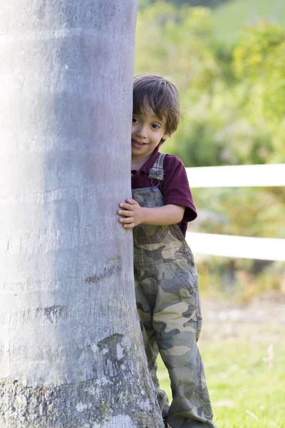 Glad liten pojke krama ett träd — Stockfoto