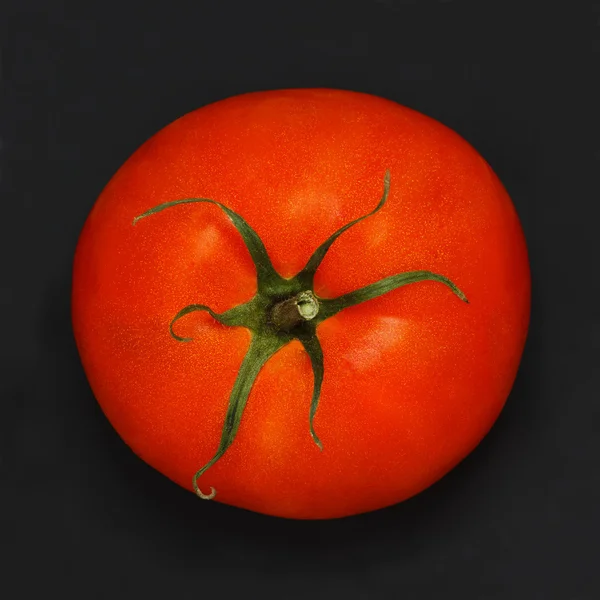 Pomodoro rosso — Foto Stock