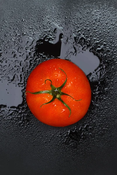 Pomodoro bagnato rosso — Foto Stock