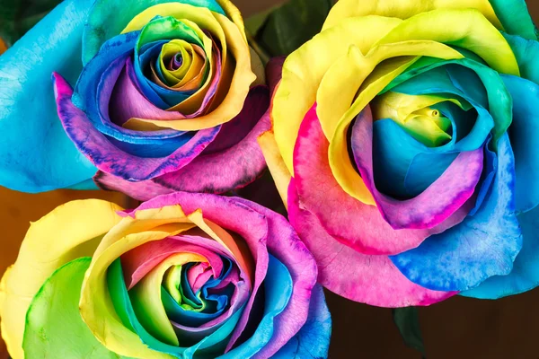 Rainbow rose — Stock Photo, Image
