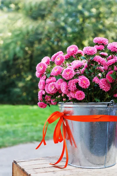 Um monte de flores. — Fotografia de Stock