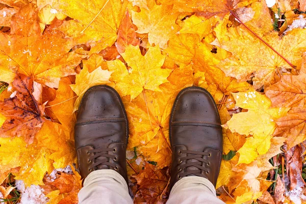 Feet shoes walking in nature — Stock Photo, Image