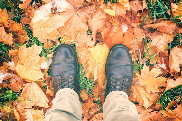 Feet shoes walking in nature — Stock Photo, Image