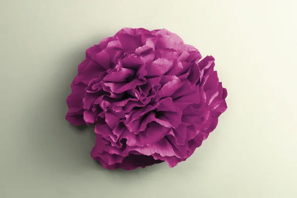 Fleur de papier violet — Photo