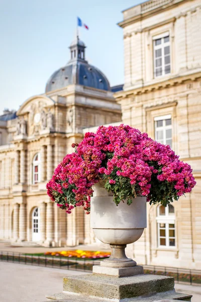 Мармурові ваза з квітами — стокове фото