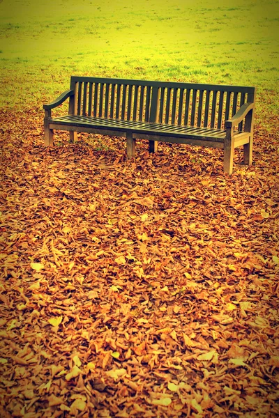 Bench in a city park — Stock Photo, Image