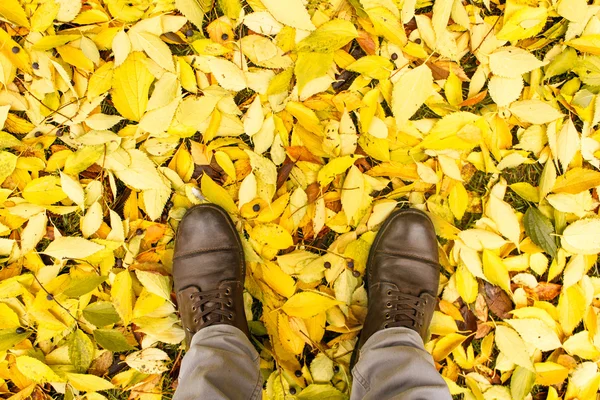 Shoes on autumn leaves — Stock Photo, Image