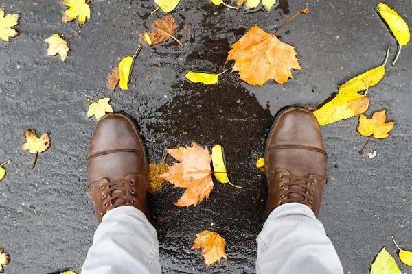 Schuhe auf dem Boden mit Blättern — Stockfoto