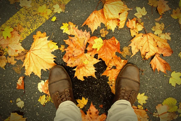 Zapatos en el suelo con hojas — Foto de Stock