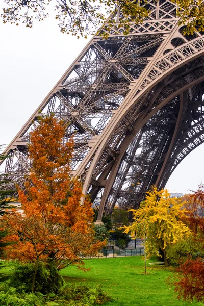 Alberi e Torre Eiffel — Foto Stock