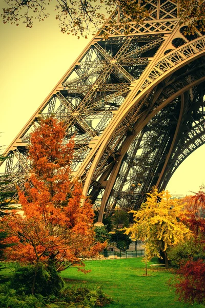 Alberi e Torre Eiffel — Foto Stock