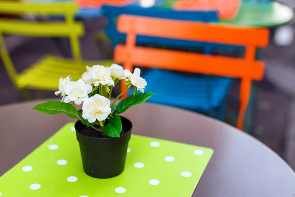 Maceta con flores blancas —  Fotos de Stock