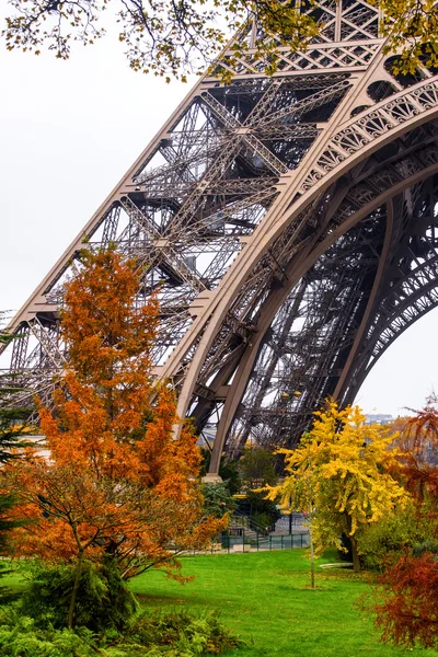 Árvores e Torre Eiffel — Fotografia de Stock