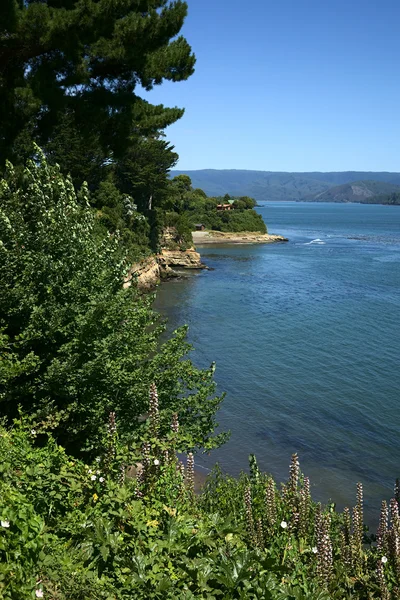 Valdivia rivier bij Niebla, Chili — Stockfoto