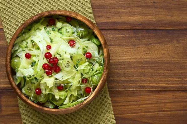 Groselha Groselha vermelha Pepino e salada de alface — Fotografia de Stock