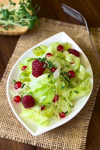 Малиновый крыжовник из красной смородины и салат из латука — стоковое фото