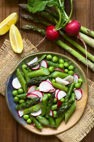 Espargos, ervilha e salada de rabanete — Fotografia de Stock