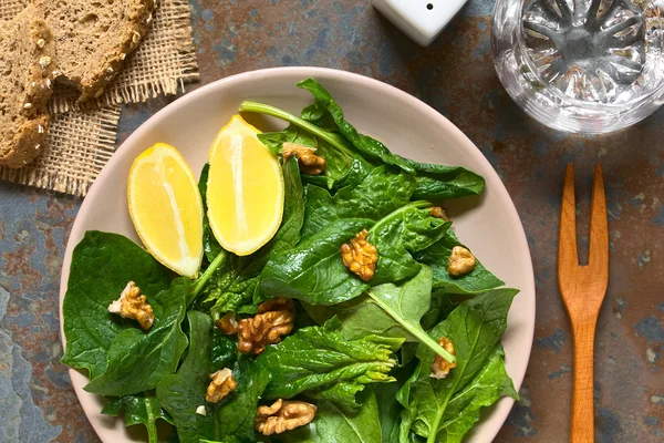 Spinat und Walnusssalat — Stockfoto