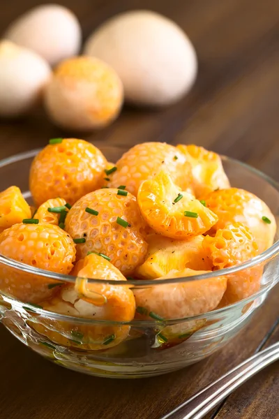 Chilean Pinatra Mushroom Salad — Stock Photo, Image