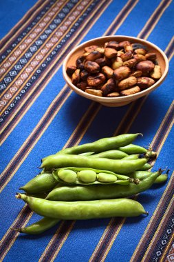 Ham Fava fasulye
