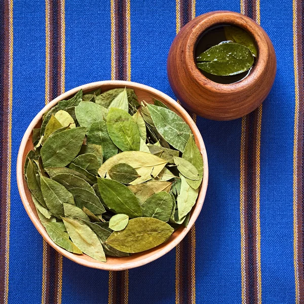 Dried Coca Leaves and Coca Tea — Stock Photo, Image