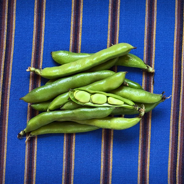 Fava em bruto — Fotografia de Stock