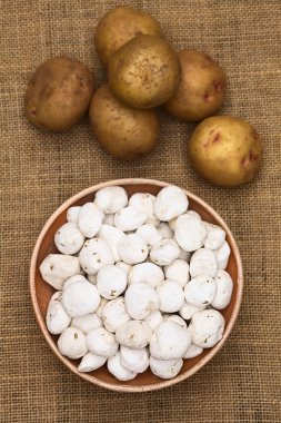 Tunta, Bolivya susuz patates