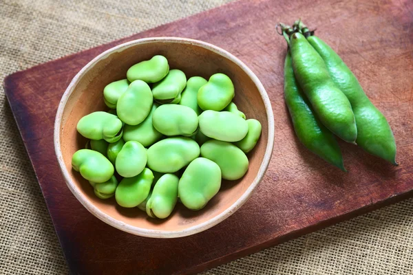 Raw Broad Beans (lat. Vicia Faba) — Stock Photo, Image