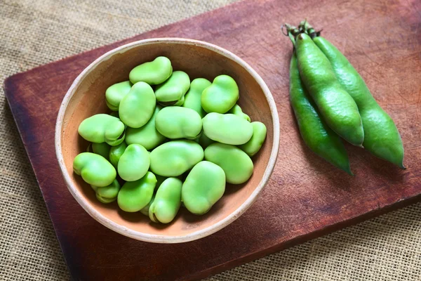 Feijões Broad Raw (em inglês). Vicia Faba ) — Fotografia de Stock